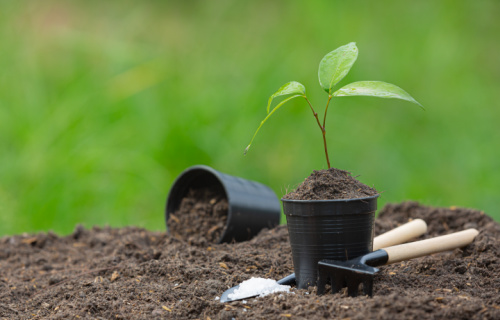 Благоустройство